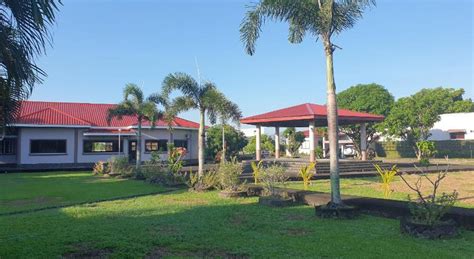 Mayon View Garden Apartelle .